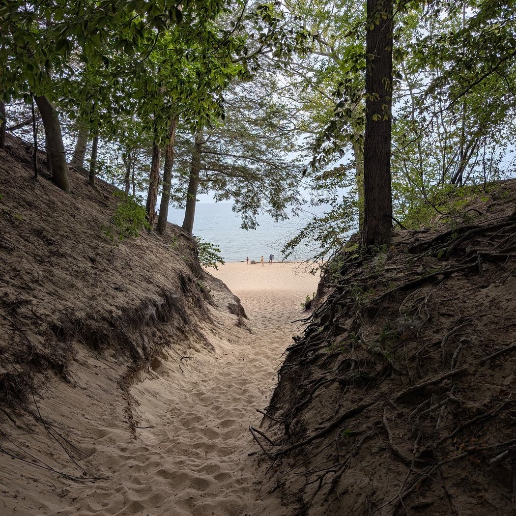 Saugatuck Dunes State Park 2
