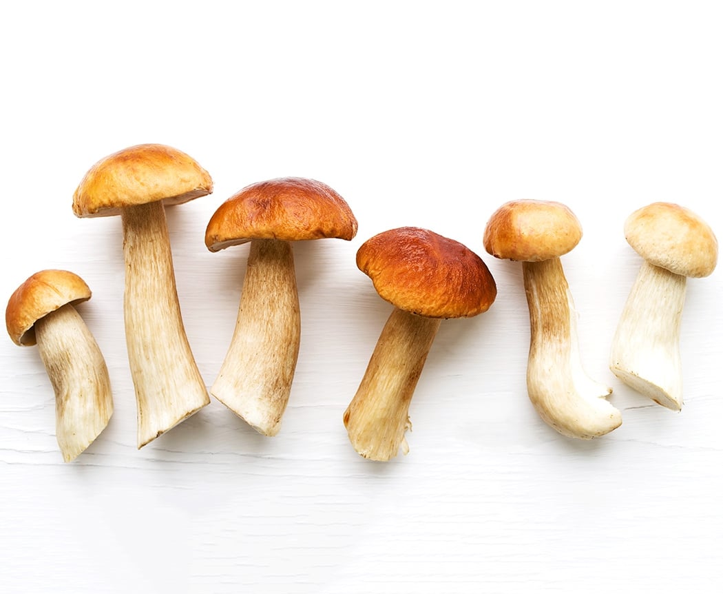 Italy by Ingredient: Funghi & Tartufi 1