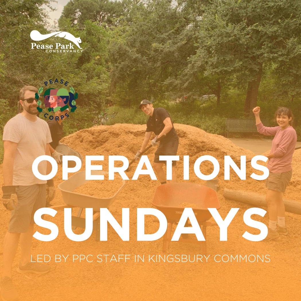 Operations Sunday in Kingsbury Commons 1
