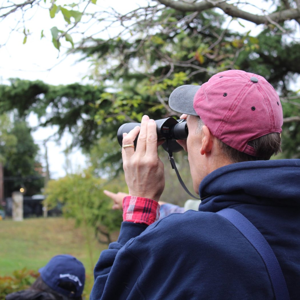 Fall Bird Walk 1