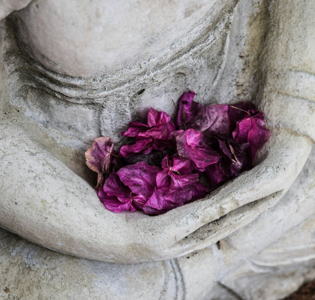Gentle Yoga & Meditation 2
