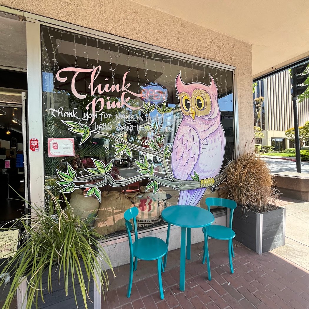 Pink Owl Coffee 2