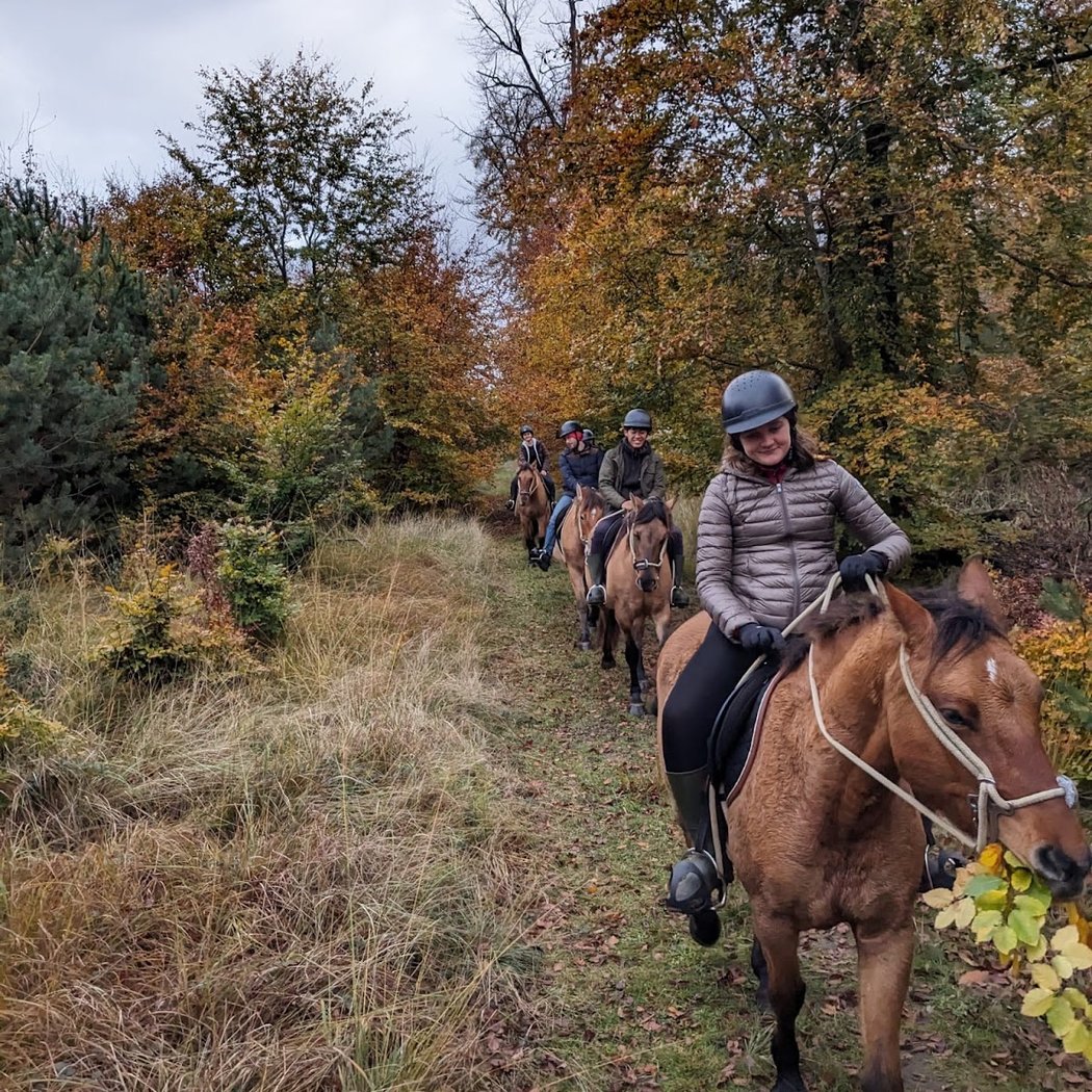 Henson Pays de Fontainebleau - Balades à cheval 4