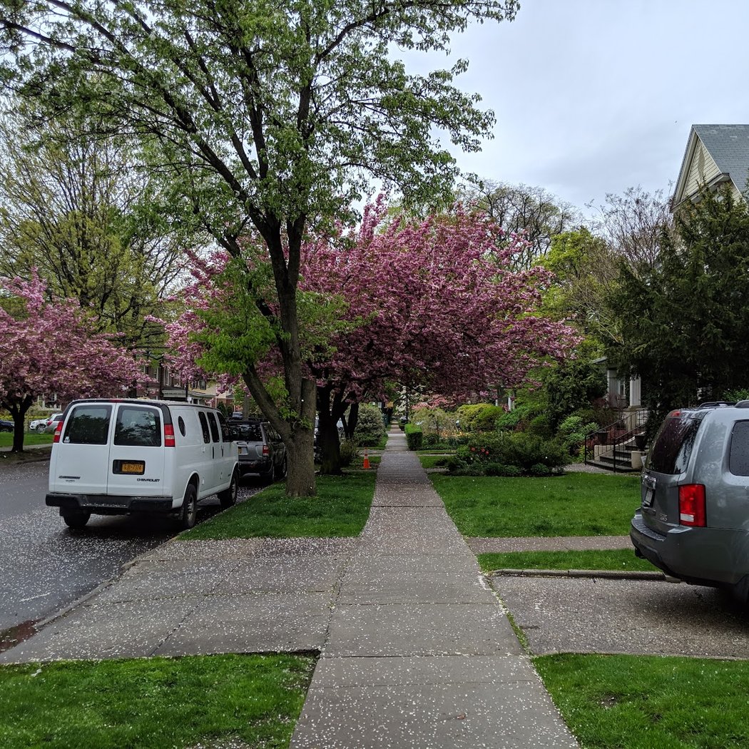 Ditmas Workspace 3