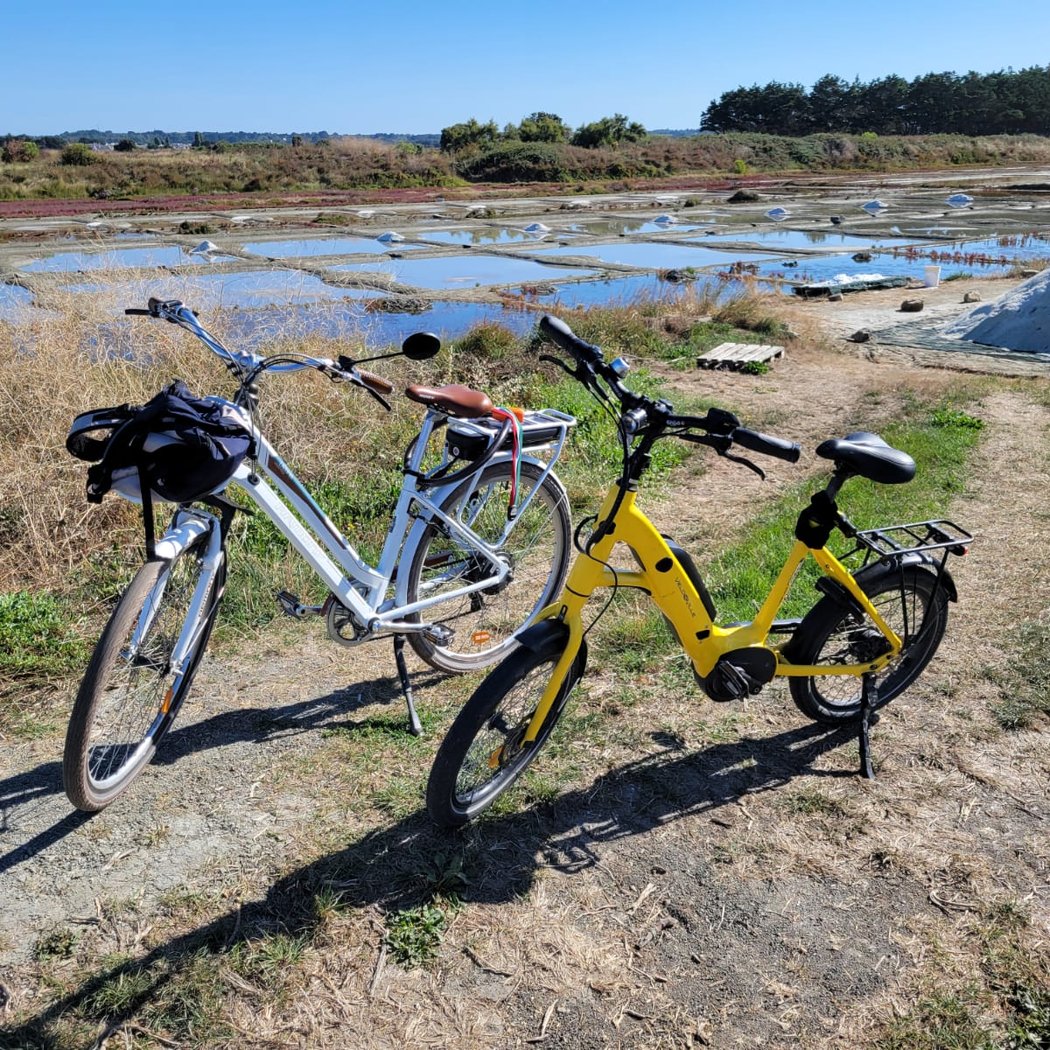 Les Vélos Tournesols 3