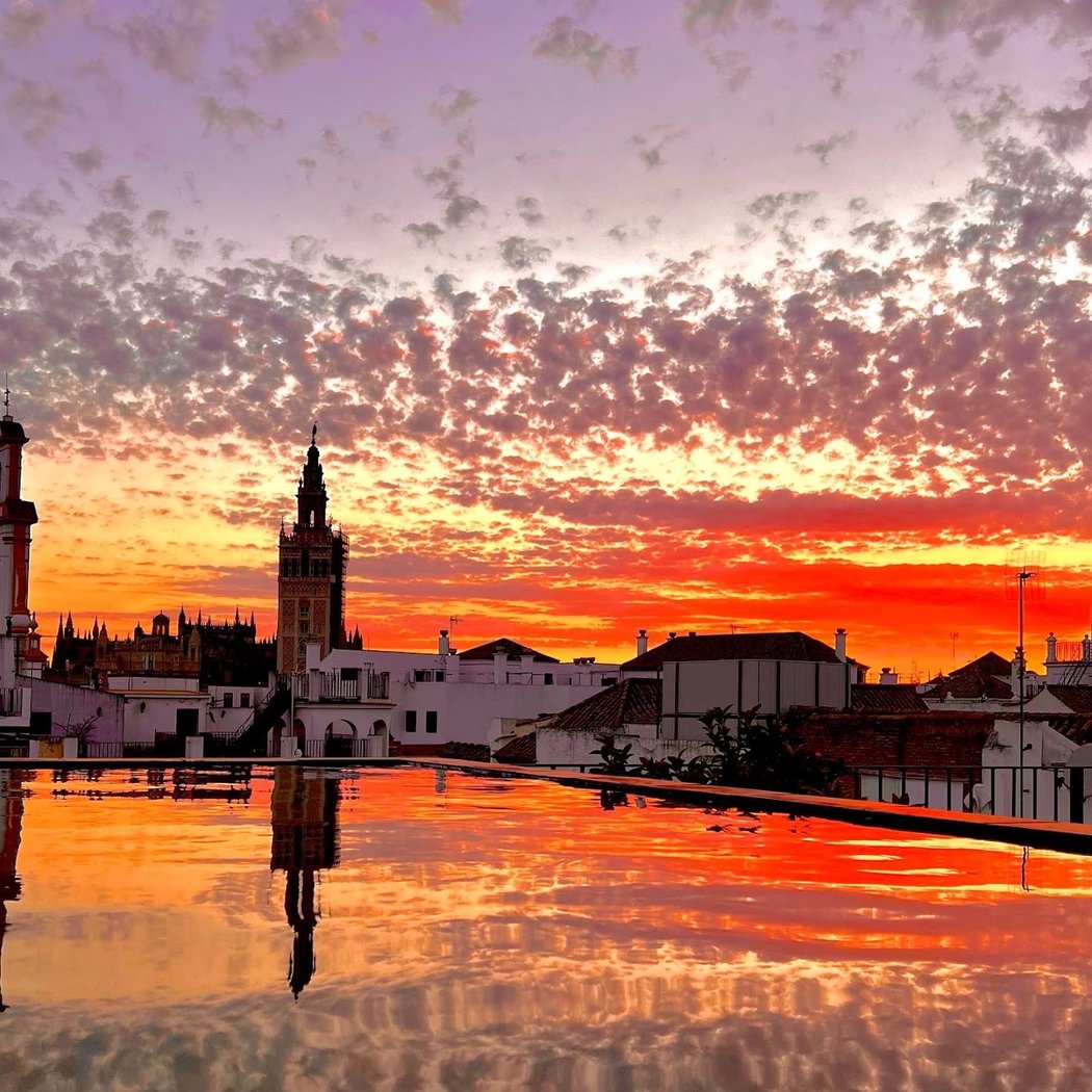 Viva Sevilla Tours 3