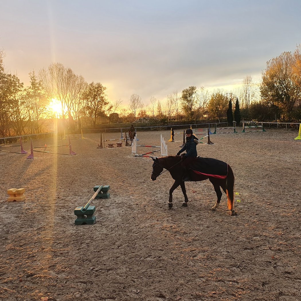 Les Ecuries de Lansargues, centre equestre 3