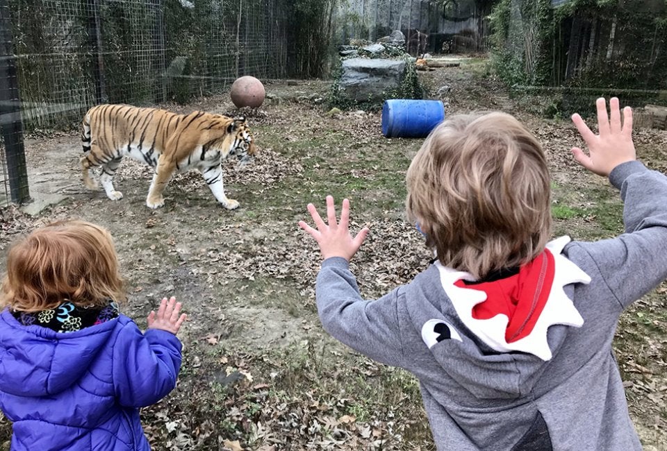 Cohanzick Zoo 1