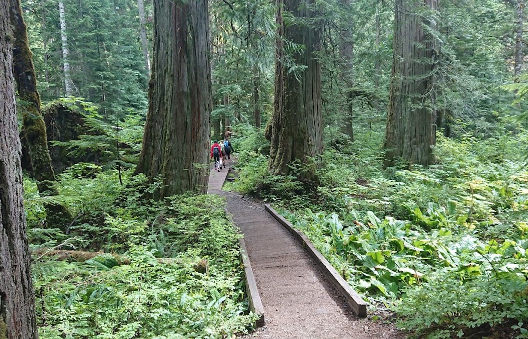 Denny Creek Trail 3