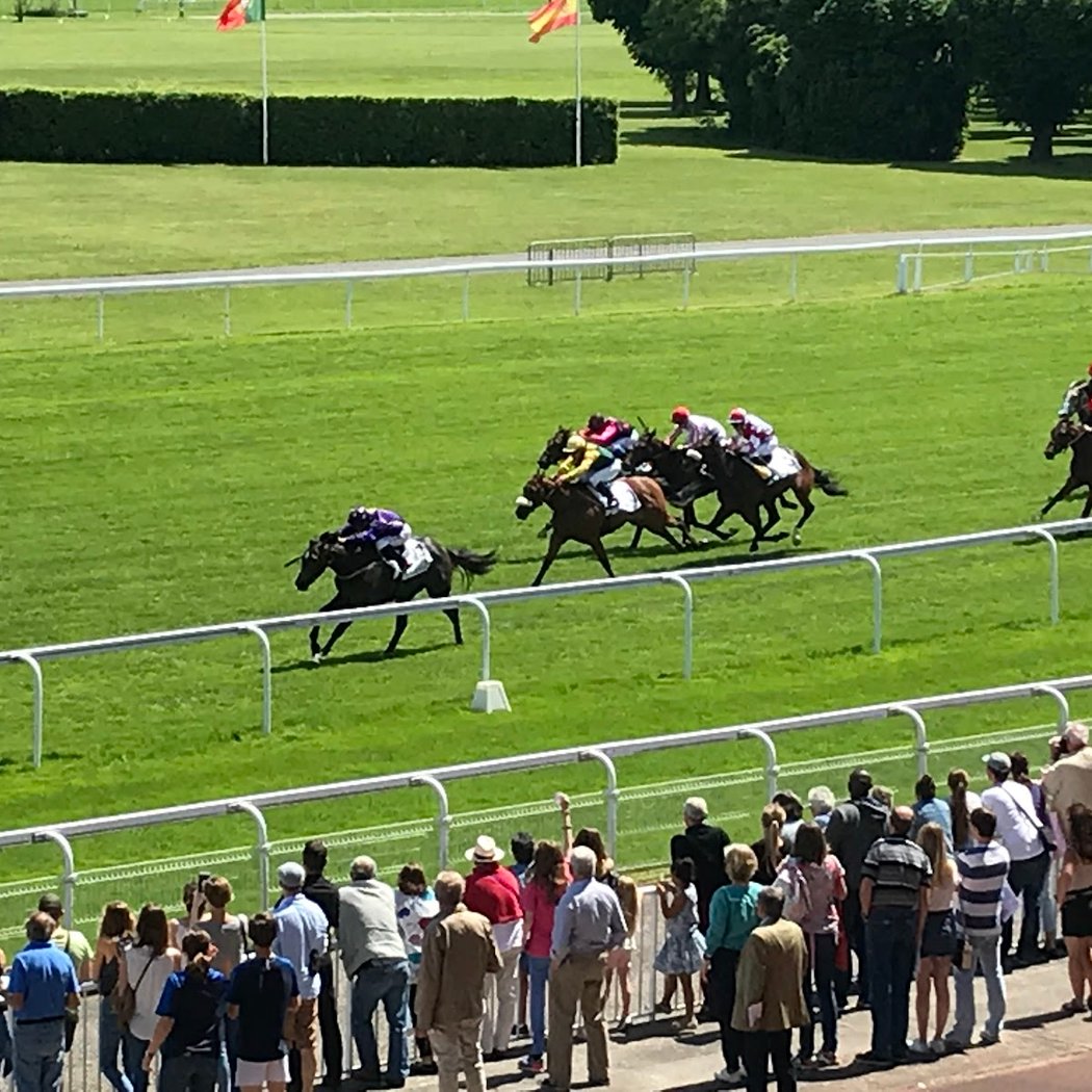 Maisons-Laffitte Racecourse 1