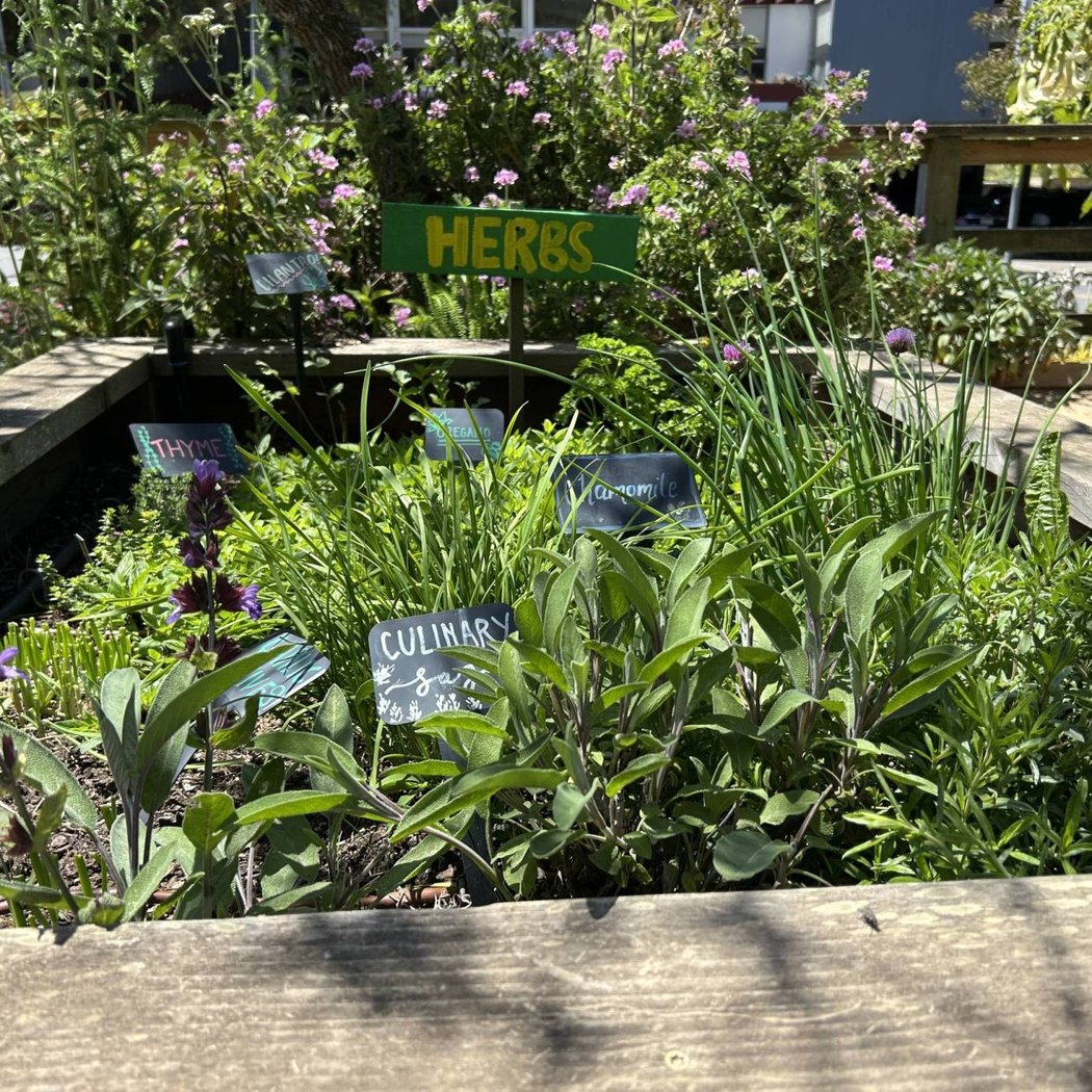 Garden for the Environment 2