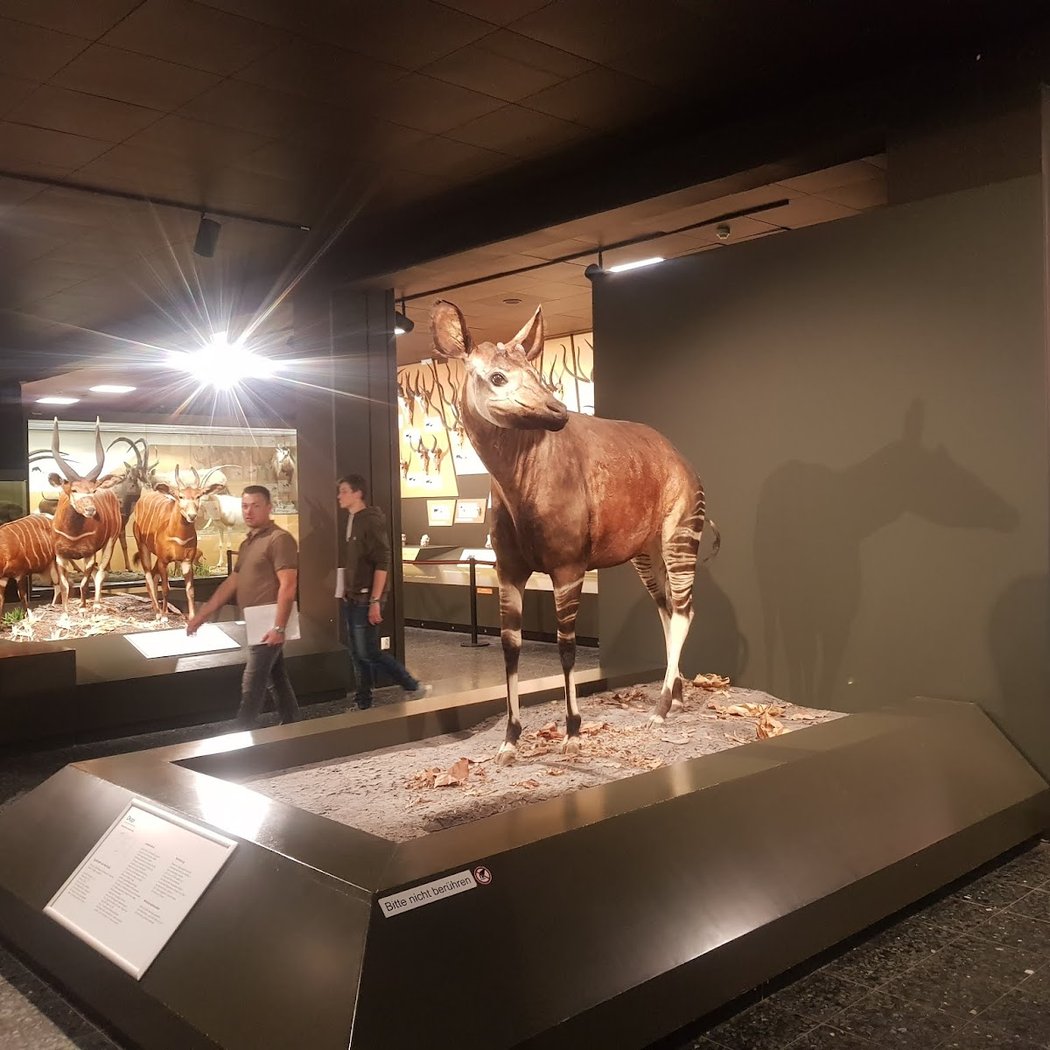 PLANET A*, Ausstellung für *Artenvielfalt 3