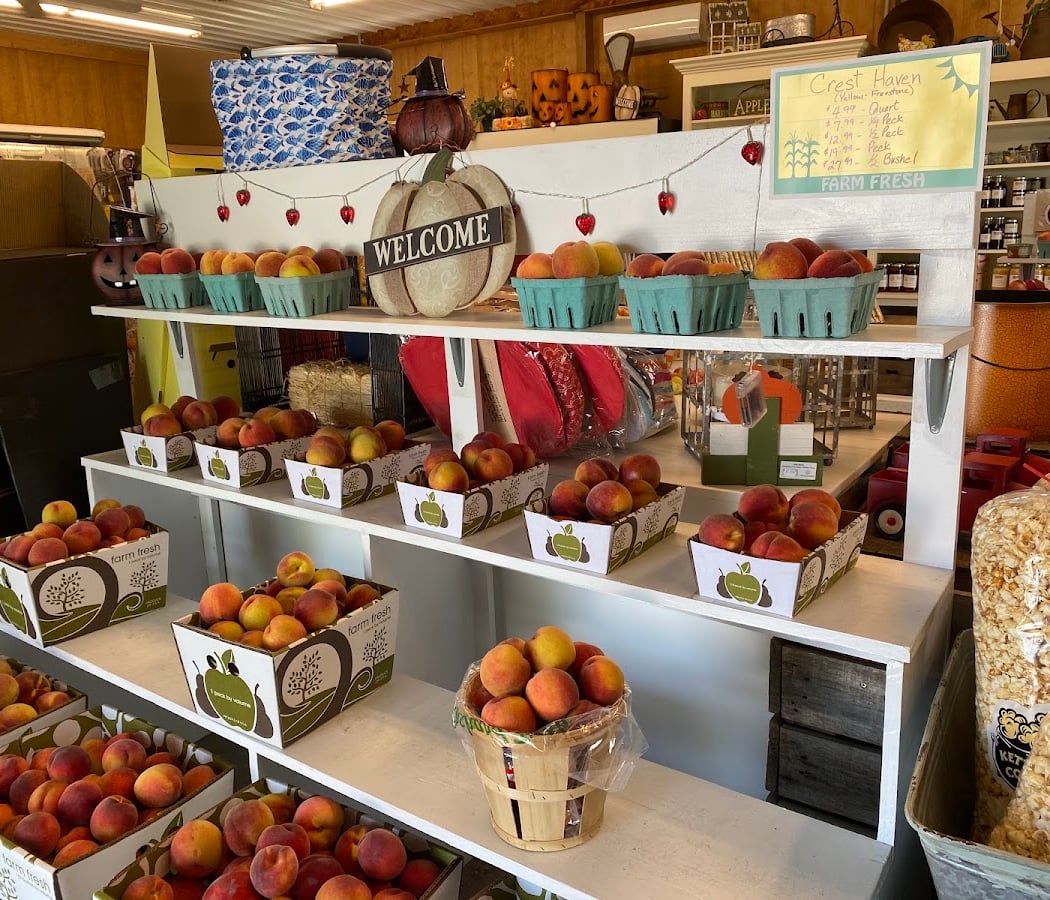 Mt Airy Orchards 1