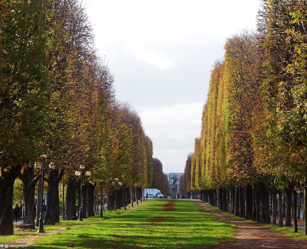 Promenade of the Cours-de-la-Reine 1