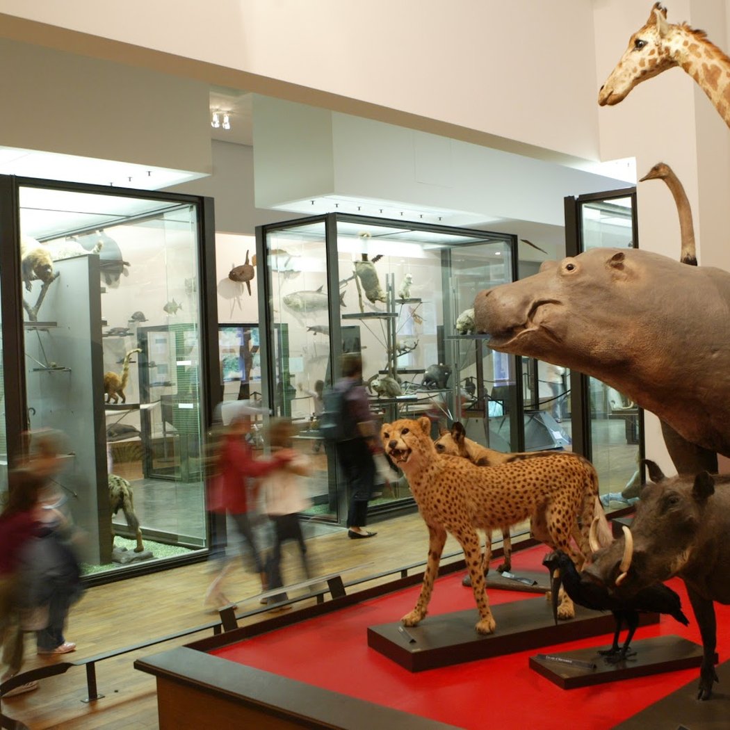 Muséum-Aquarium de Nancy 2