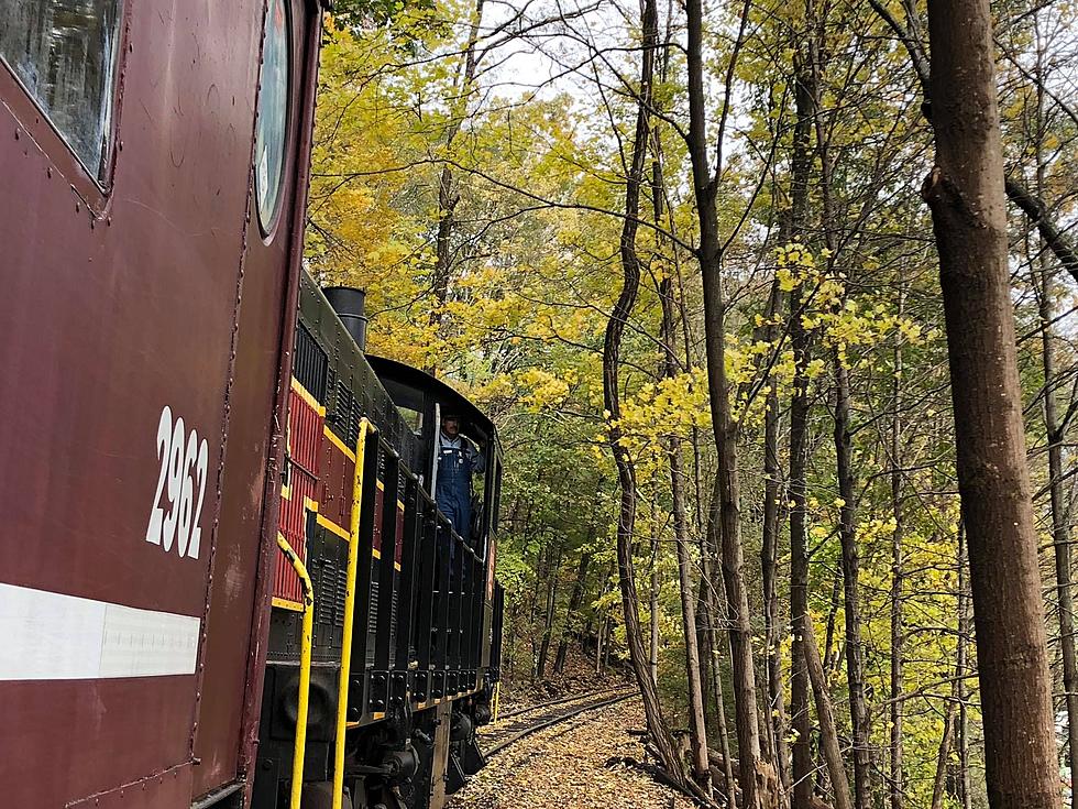 Catskill Mountain Railroad Foliage Rides 1