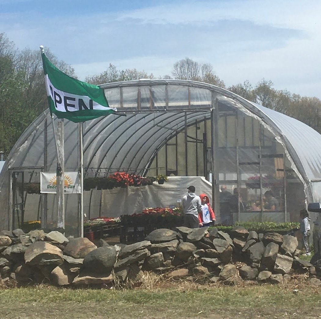 Under the Sun Farm 2