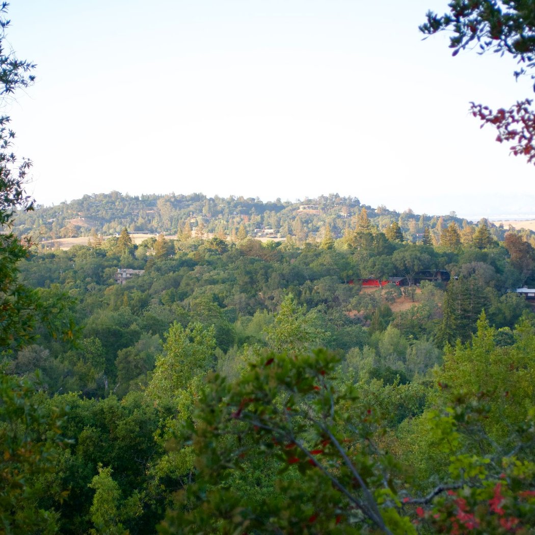 Coal Mine Ridge 3