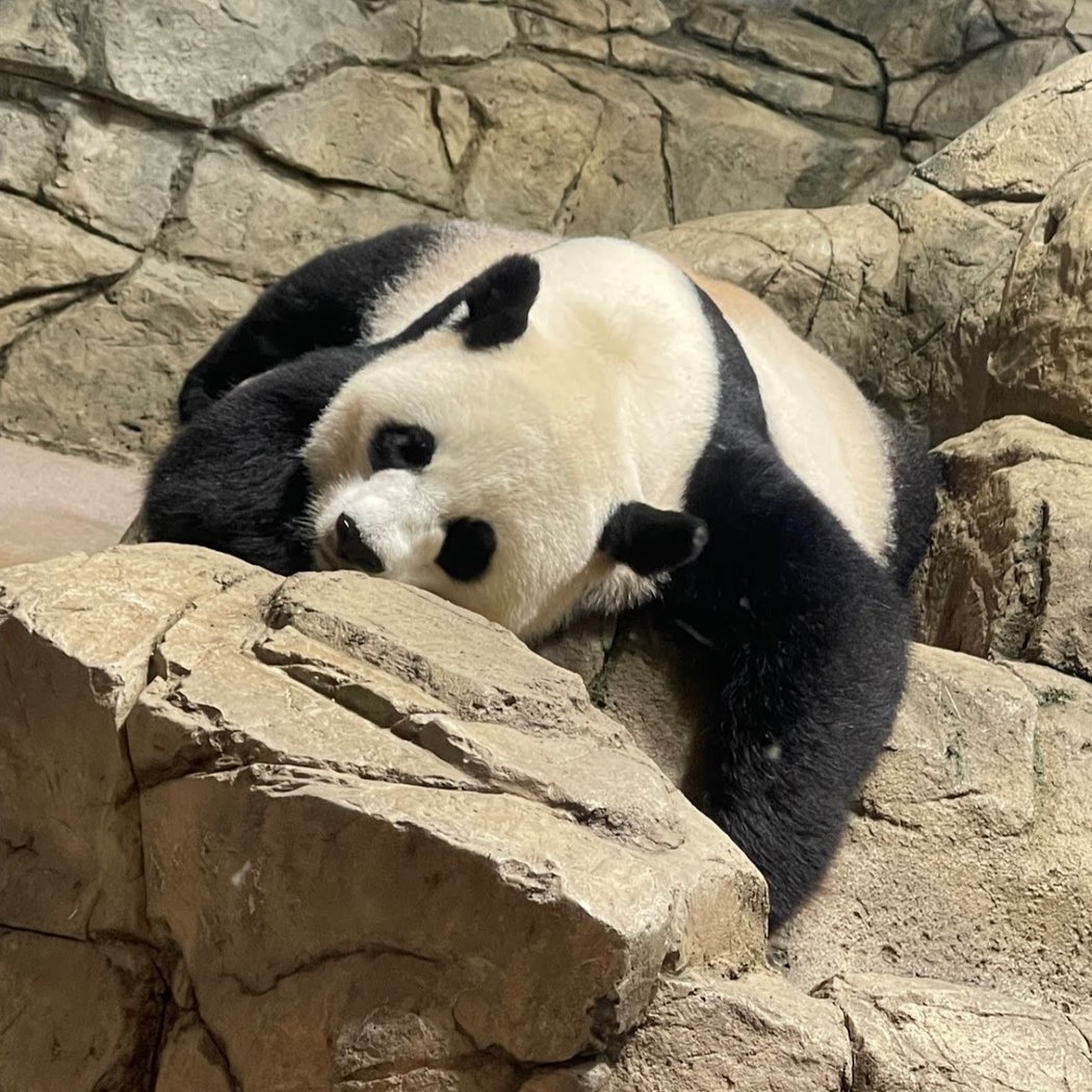 Smithsonian National Zoological Park 3
