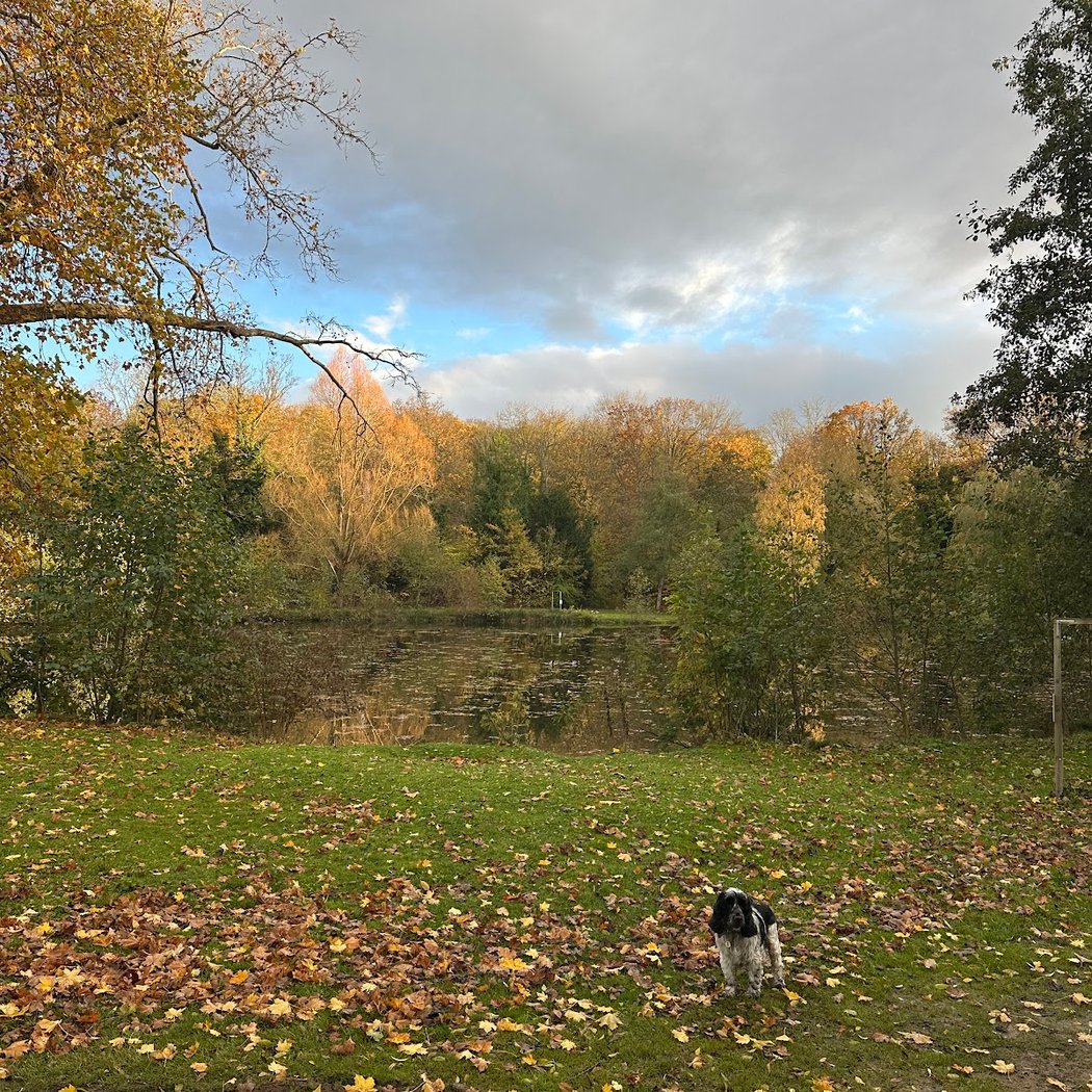 Parc écologique 1
