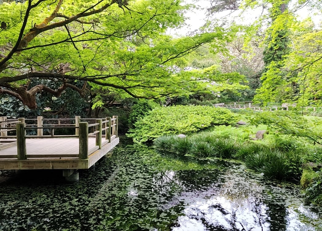 Moon Viewing Garden 1
