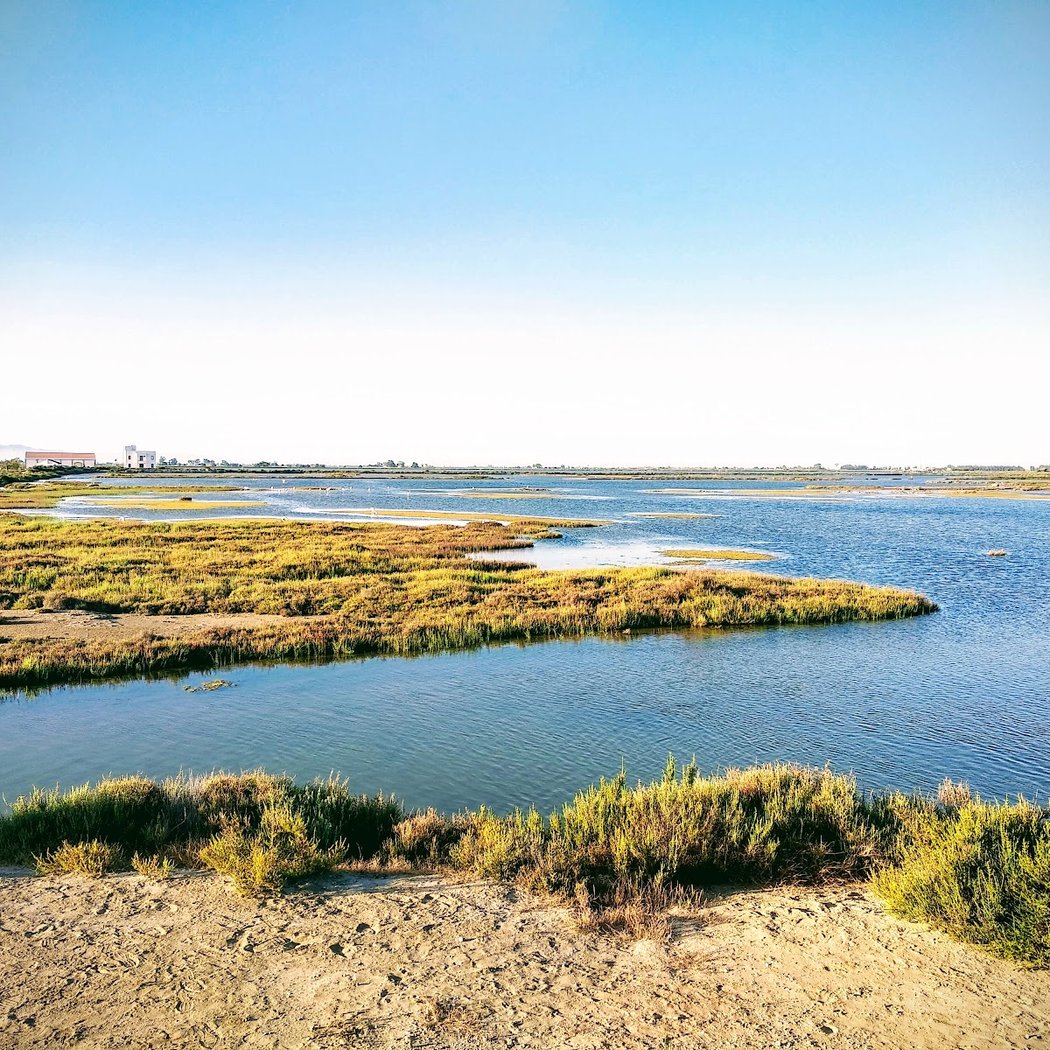 Ebro Delta Natural Park 3