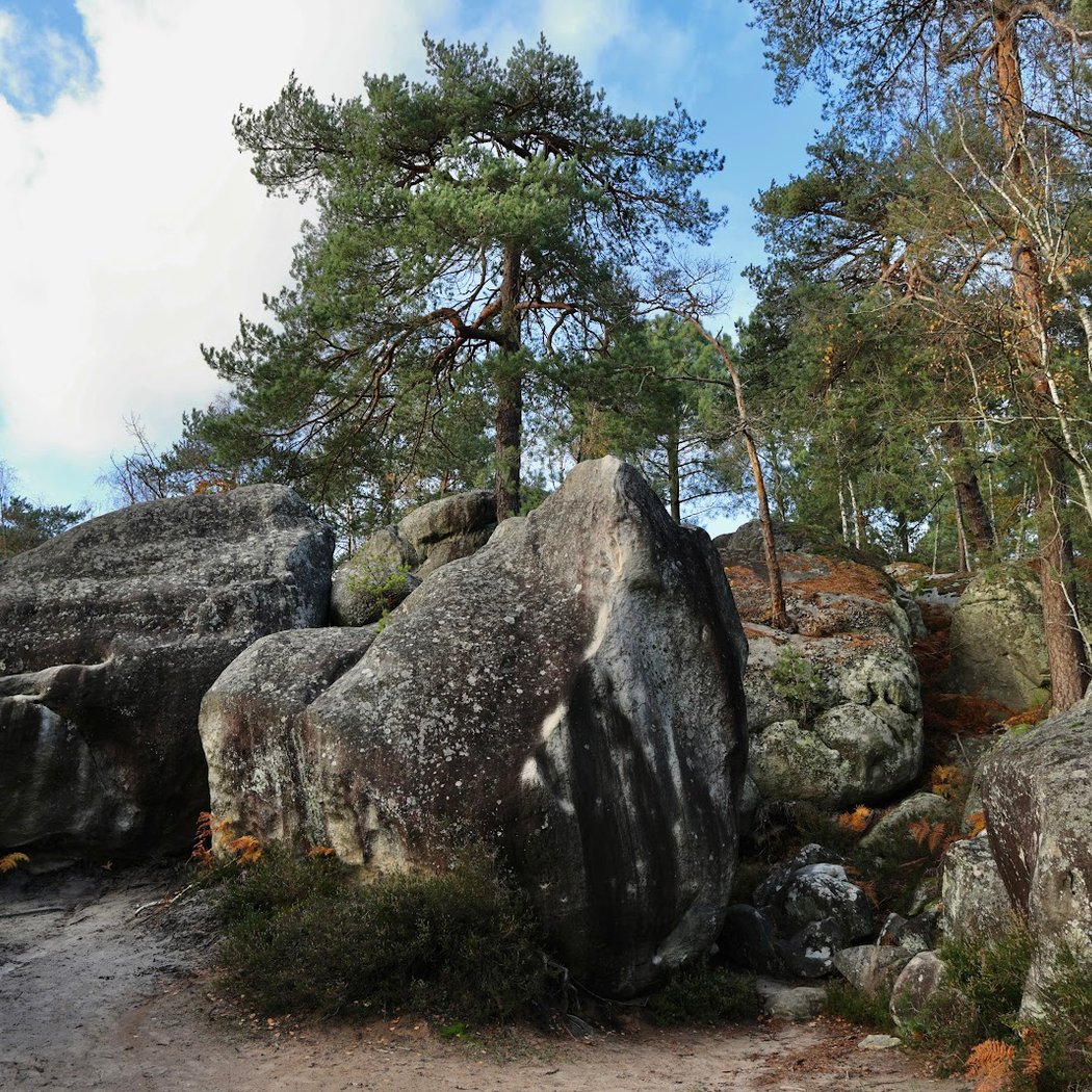Apremont Ouest outdoor climbing 1