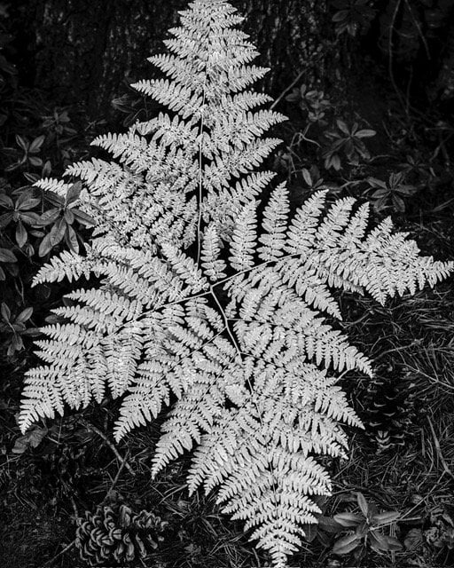 G. Richard (Rick) Haley Photography Exhibit 3