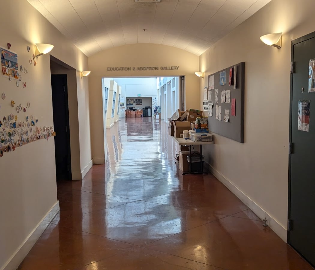 East Bay SPCA, Dublin 3