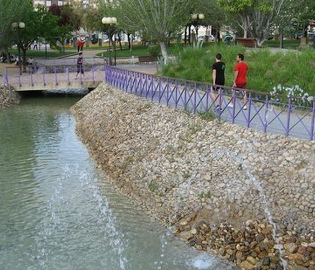 Bosque de San Pedro 2