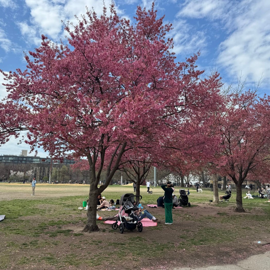 McCarren Park 1
