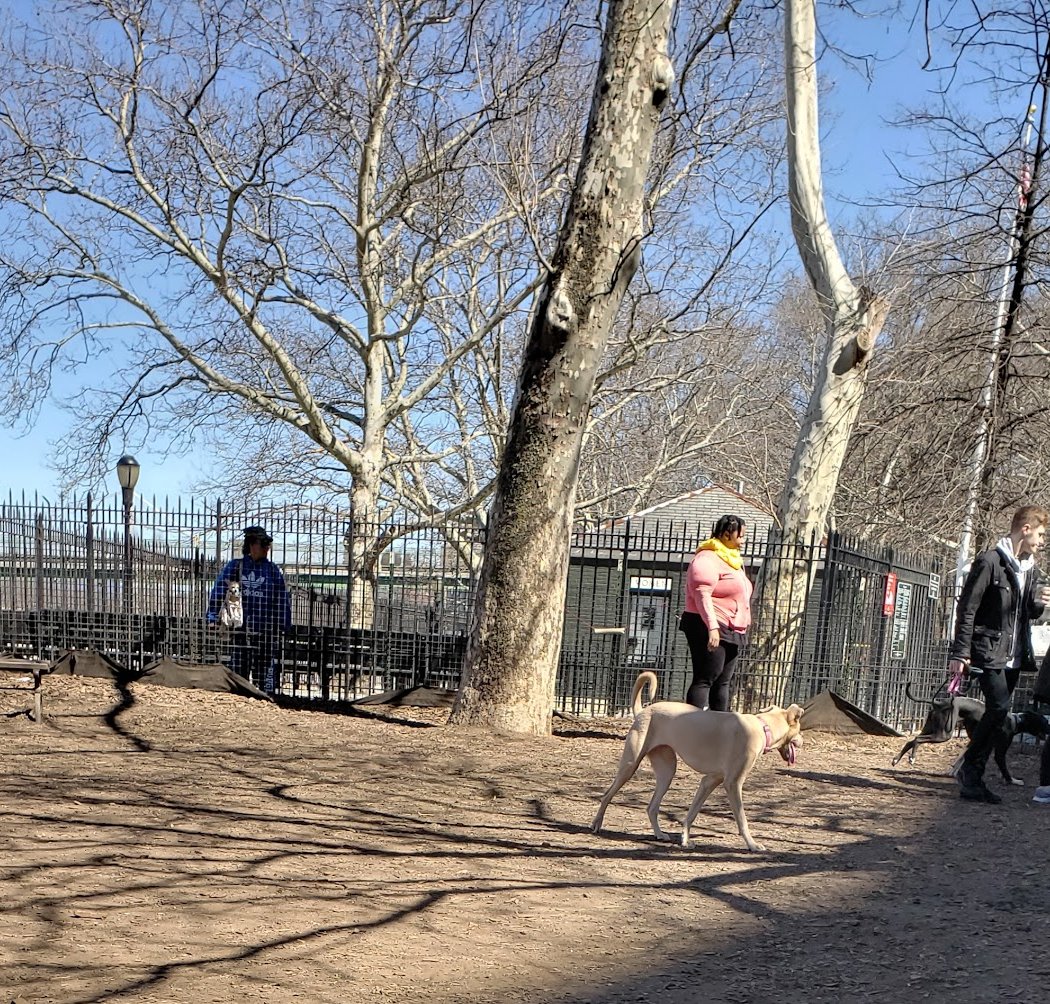 142nd Street Dog Run 🐕 3