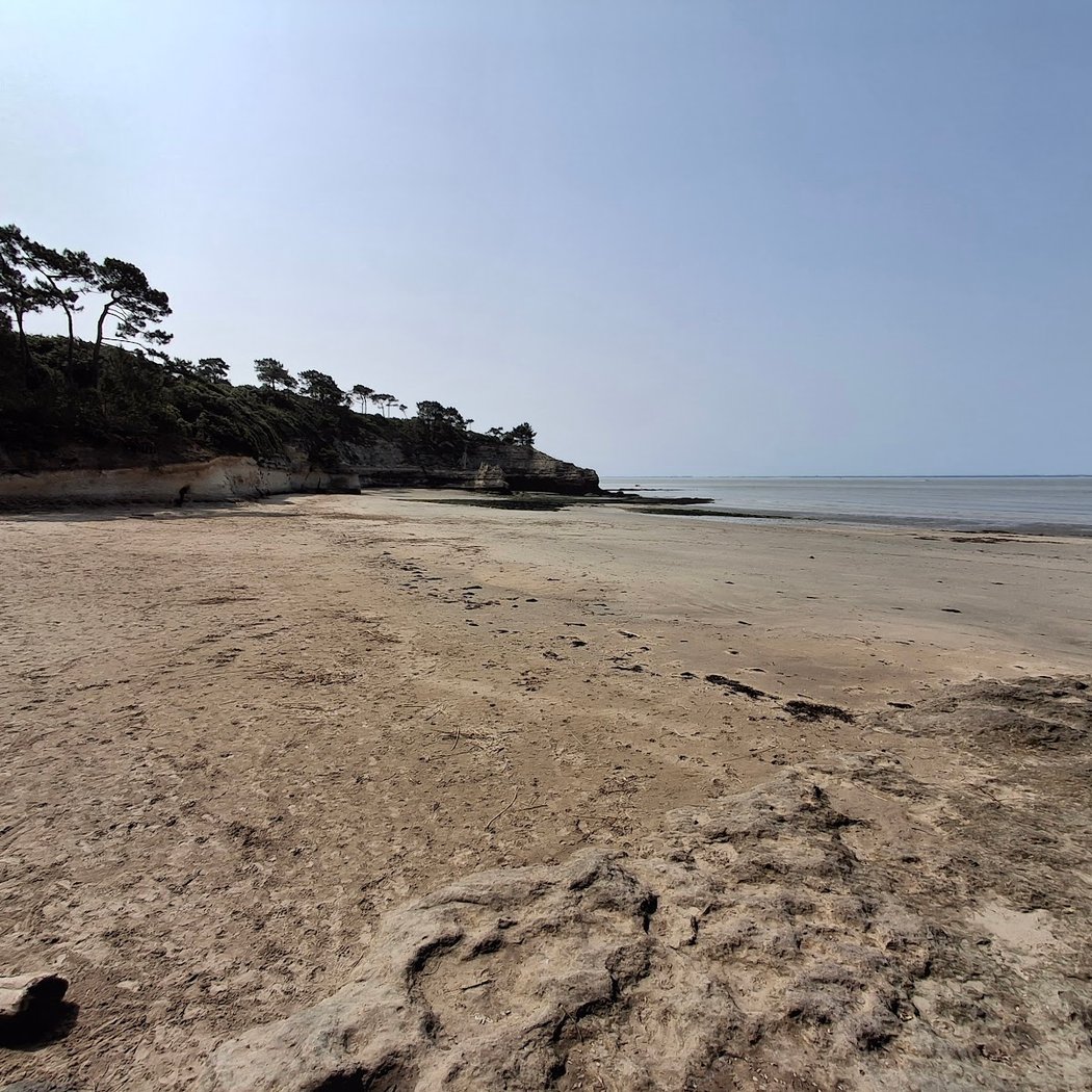 Plage de l'Arneche 3