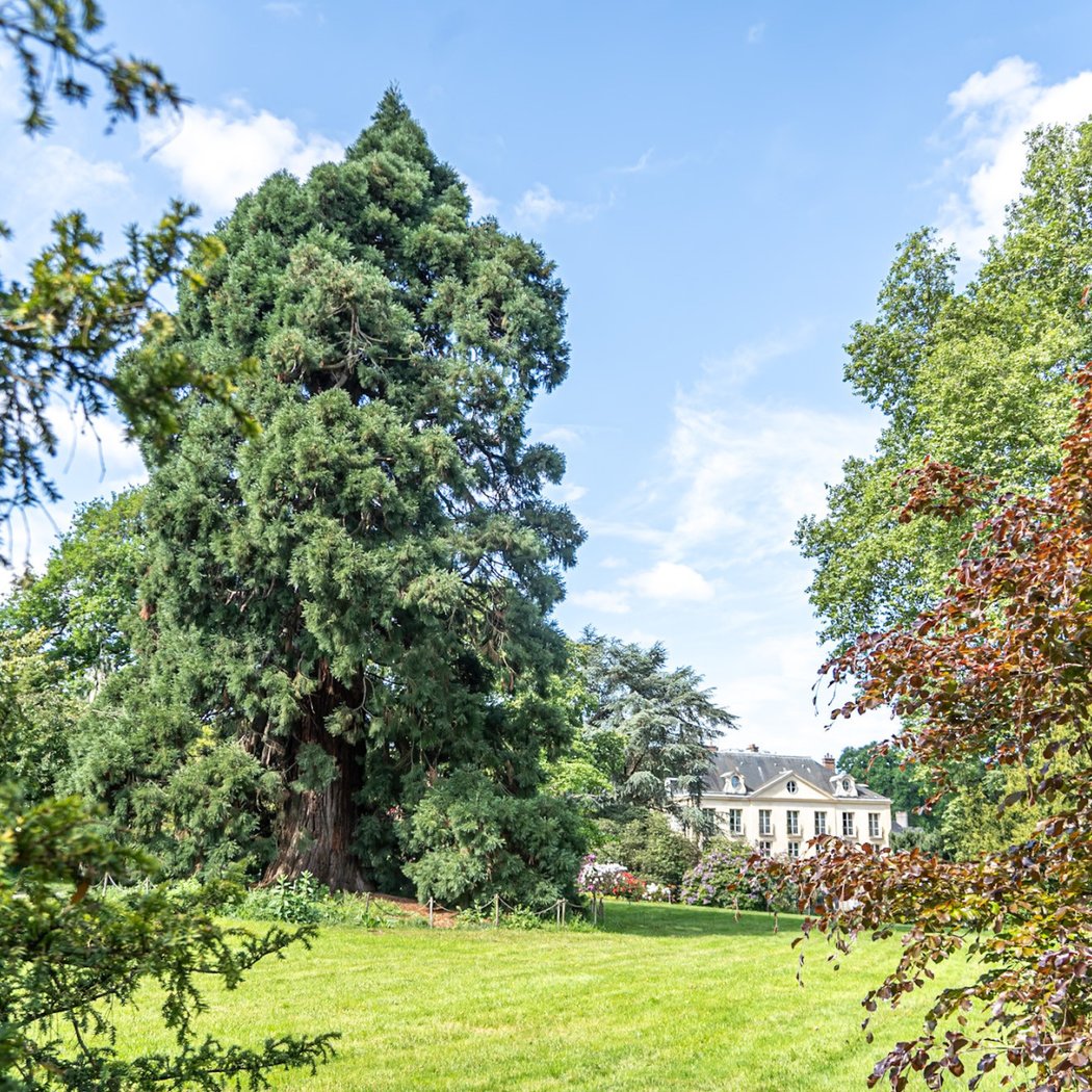 Arboretum de la Vallée aux Loups 2