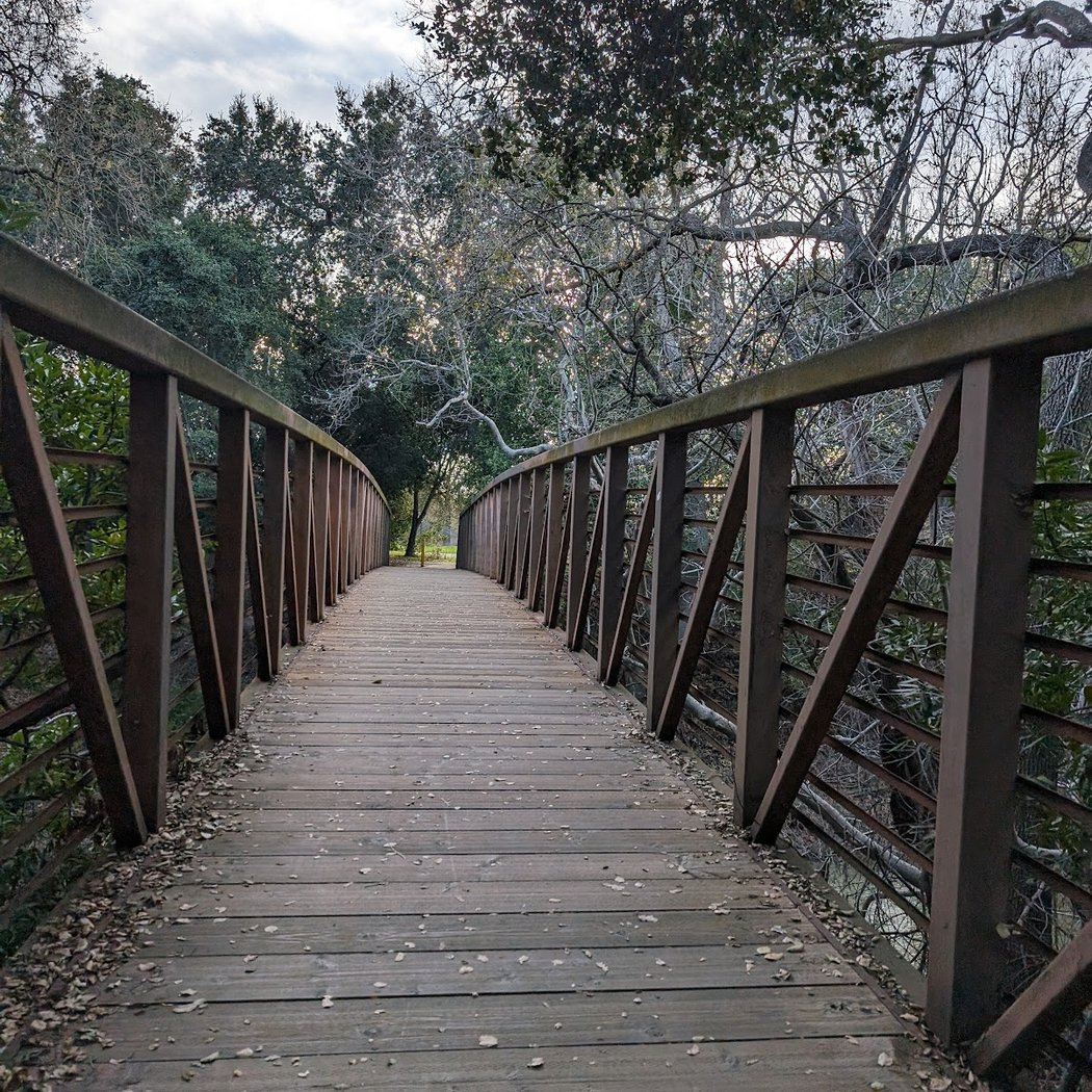 Coyote Creek Parkway 2