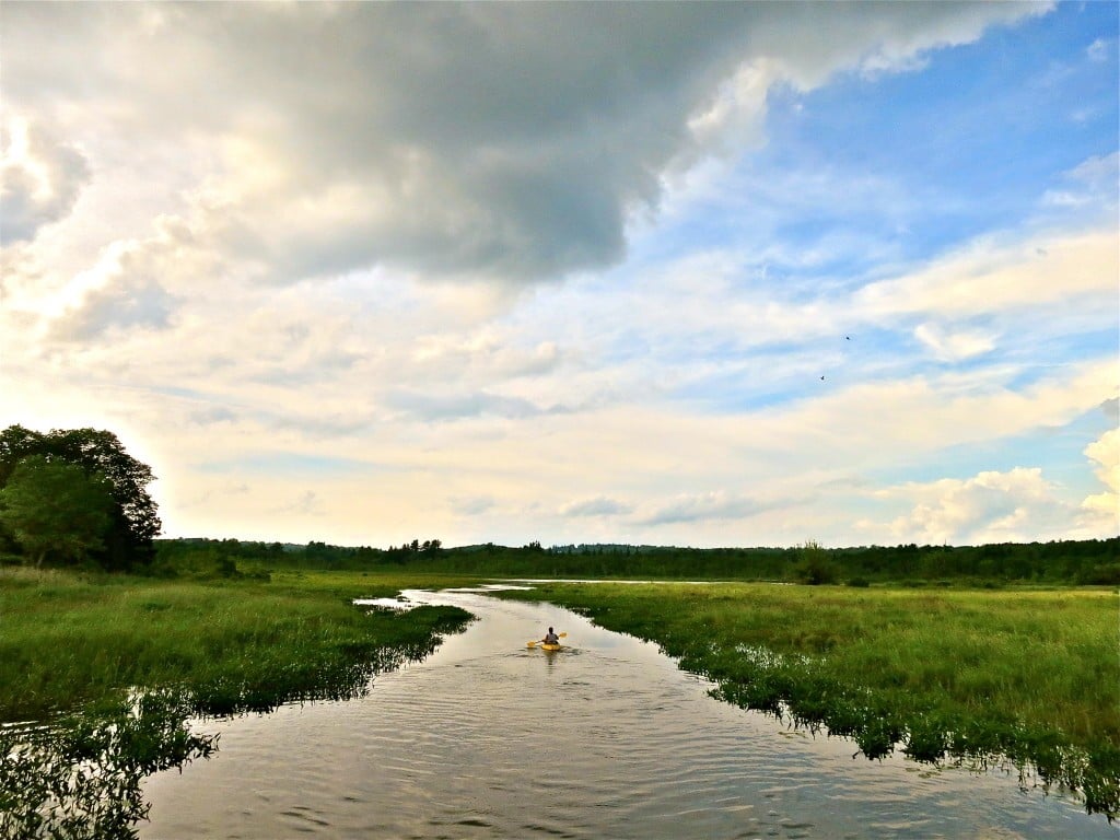 White Memorial Conservation Center 1