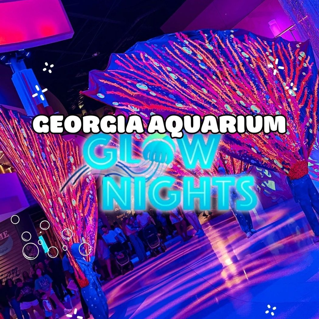 Glow Nights 1