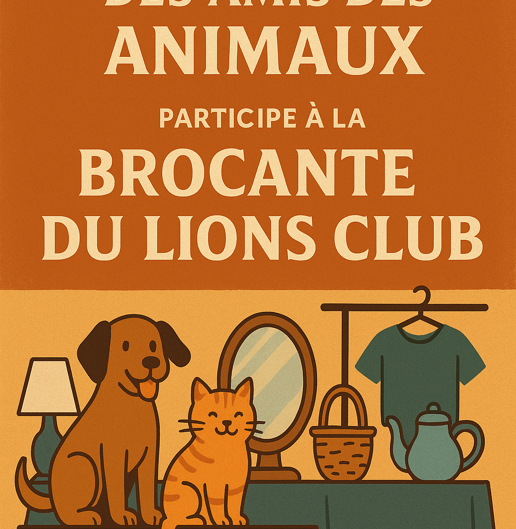 Stand au vide Grenier du Lions club 1