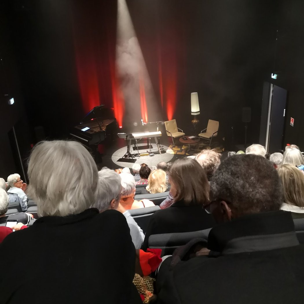 Albin de la Simone Concert 2