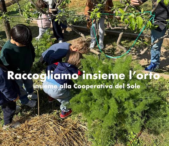Raccogliamo insieme l'orto 1