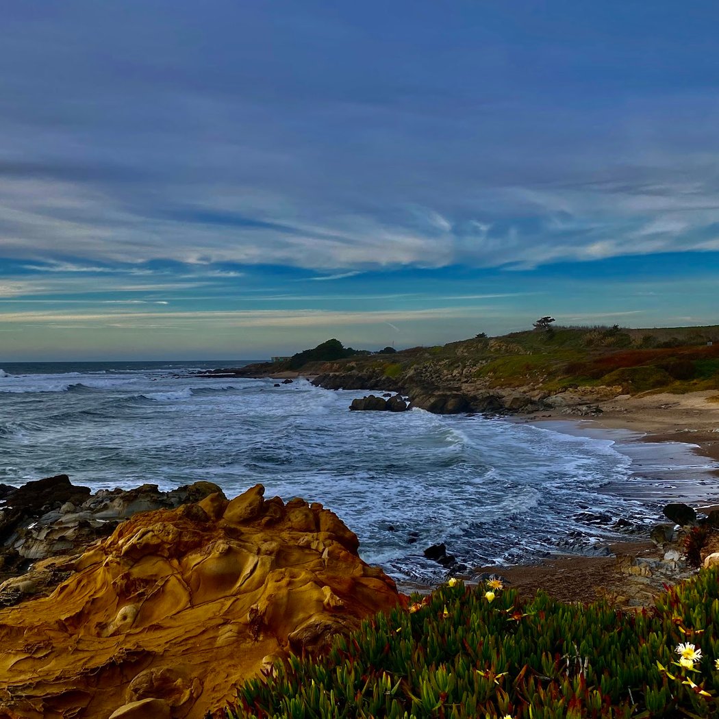 Bean Hollow State Beach 1