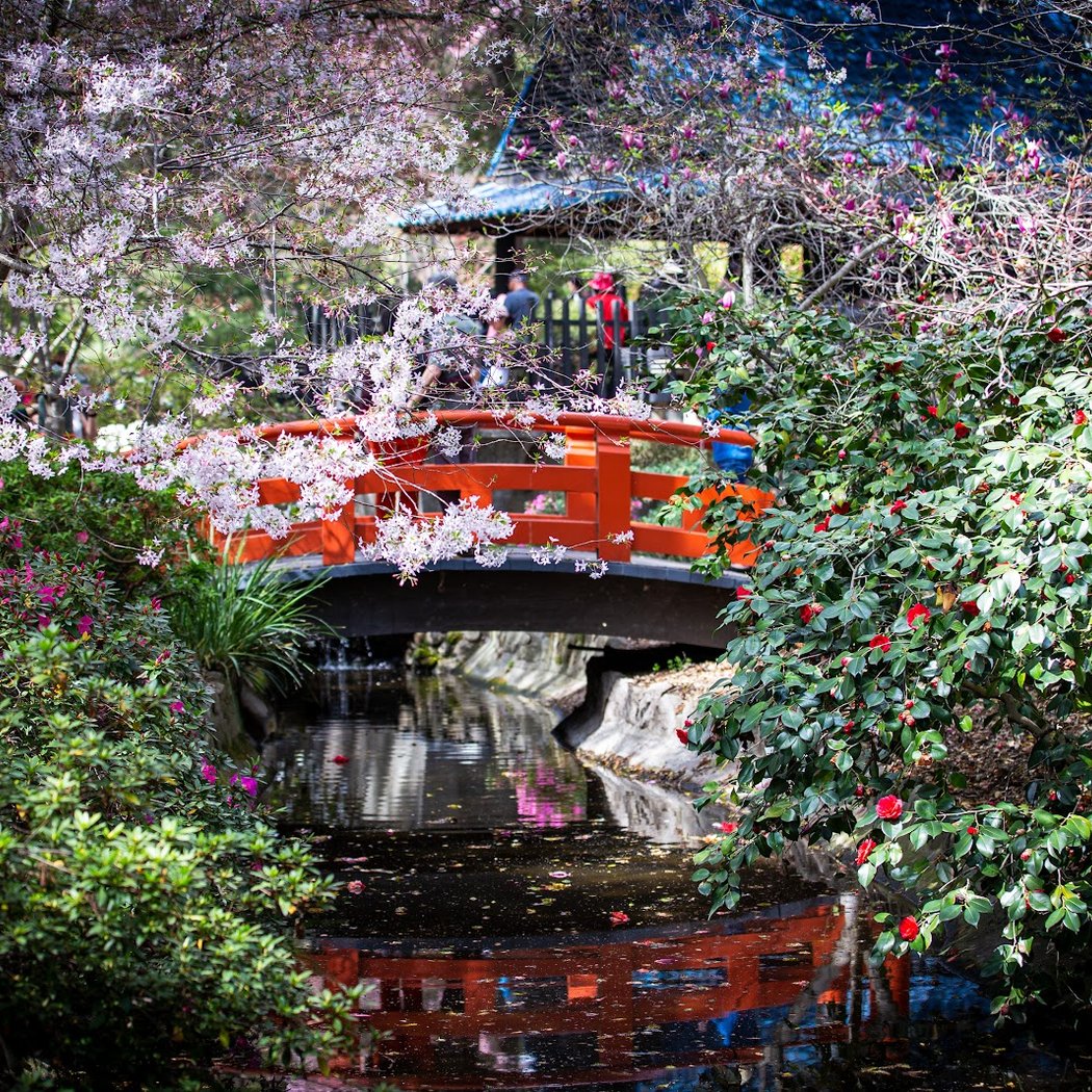Free Museum Day at Descanso Gardens