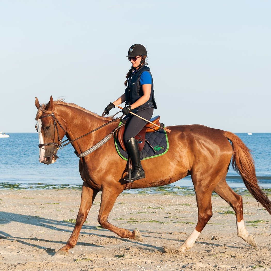 Stages d'équitation (double poney) 1
