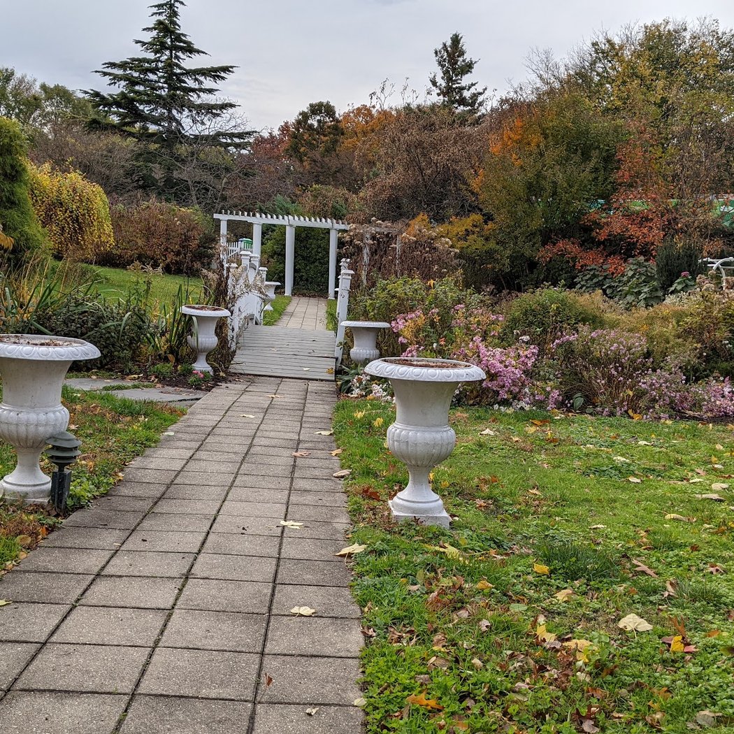 Fall Bird Walks with NYC Audubon 1