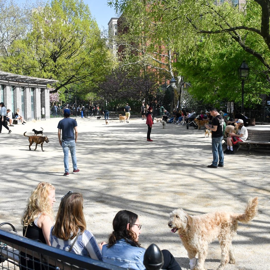 Robin Kovary Dog Run for Small Dogs 3