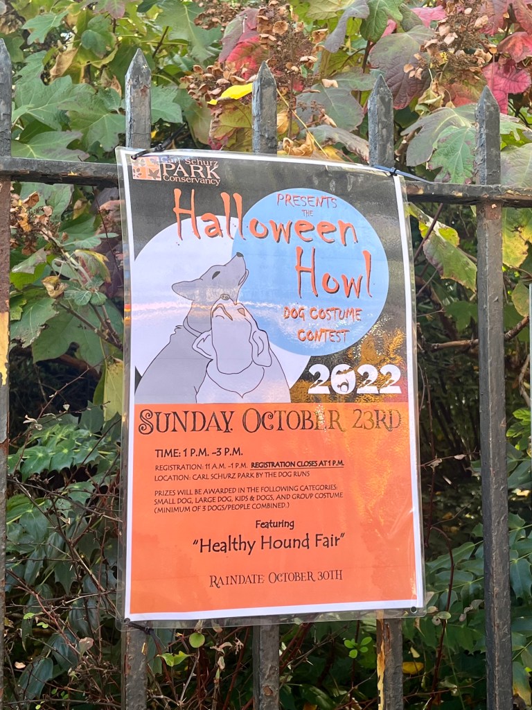 Halloween Howl 1