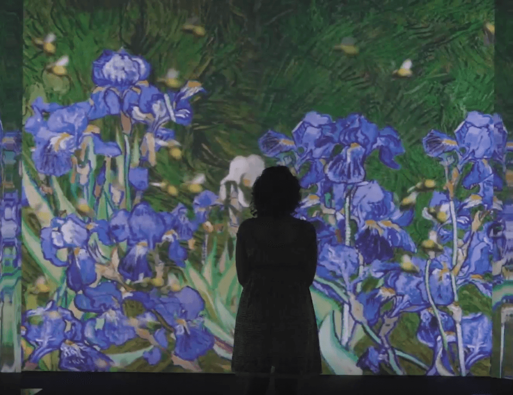Impressionists Immersive Exhibition 3
