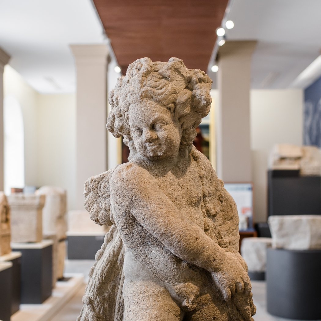 Musée Crozatier 1