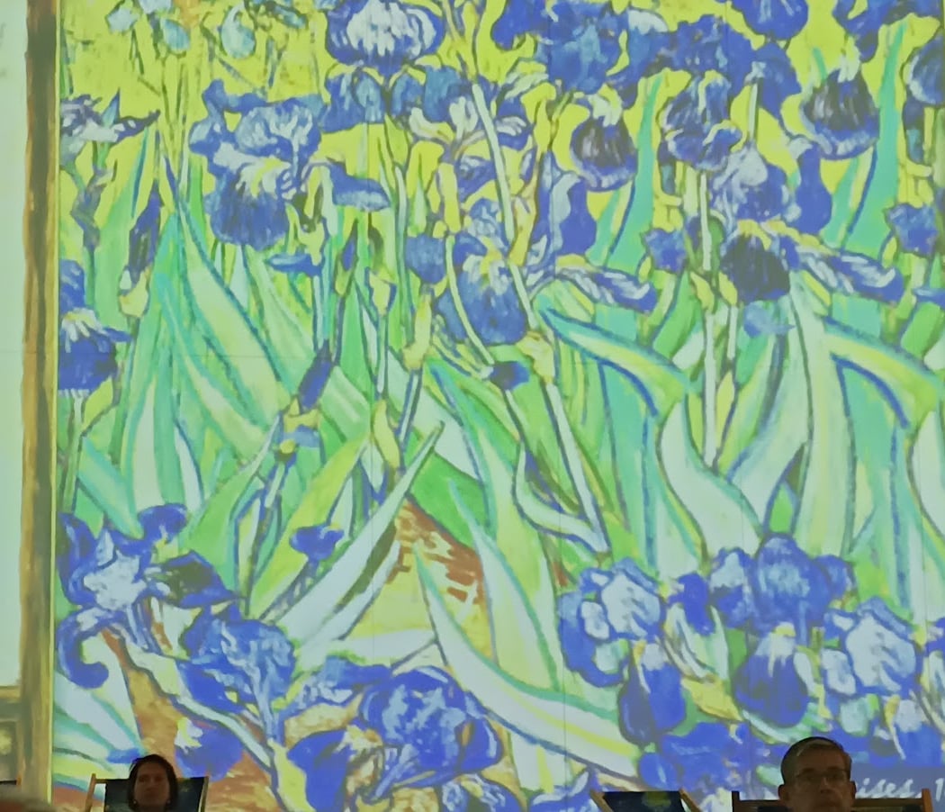 Exposition Van Gogh 2