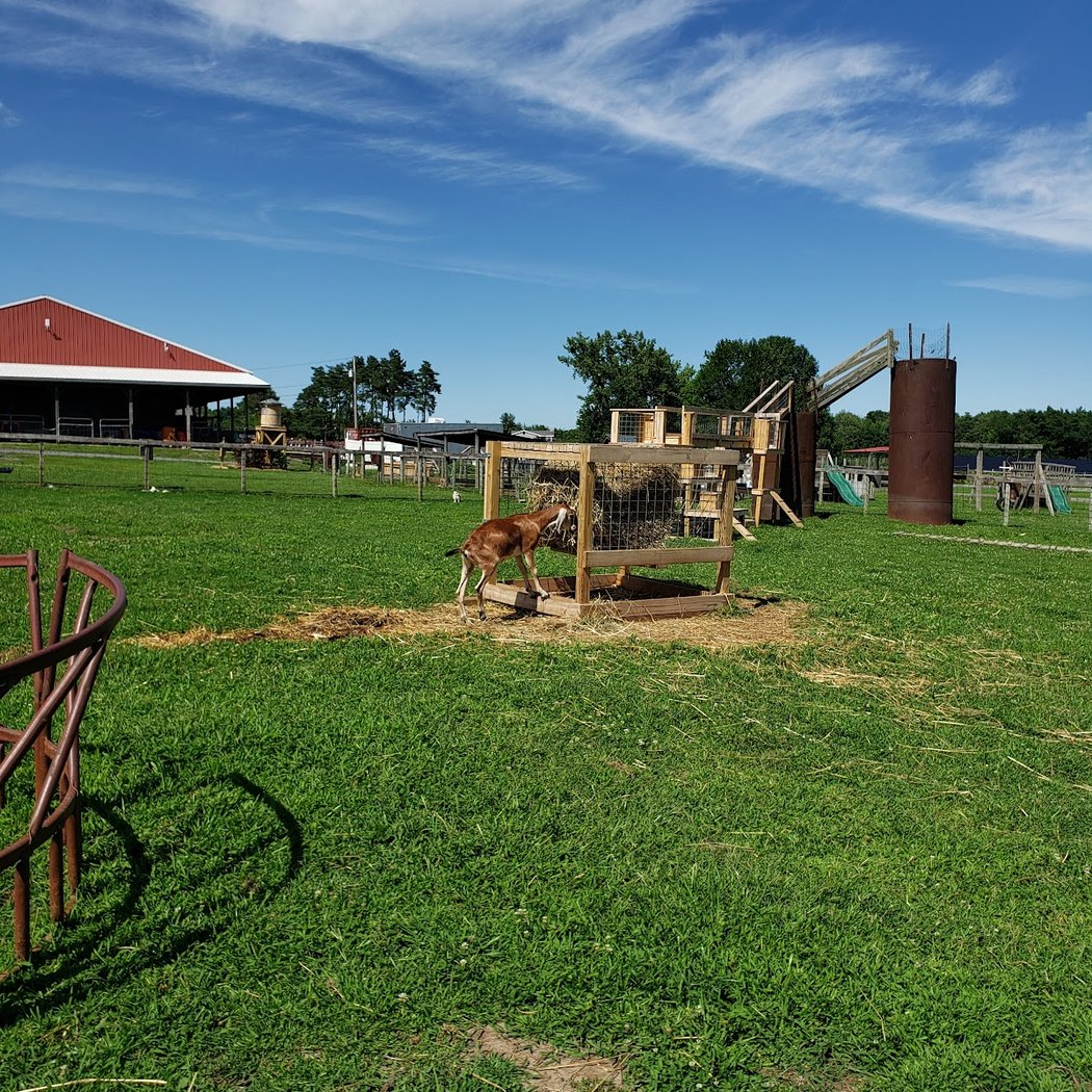Bowman Orchards 3